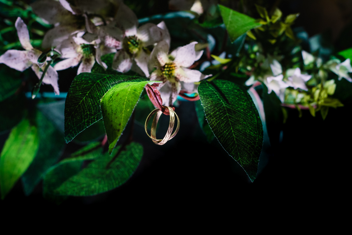 Alianças de casamentos, Salão de festas Susi, na cidade de Praia Grande, no estado de São Paulo