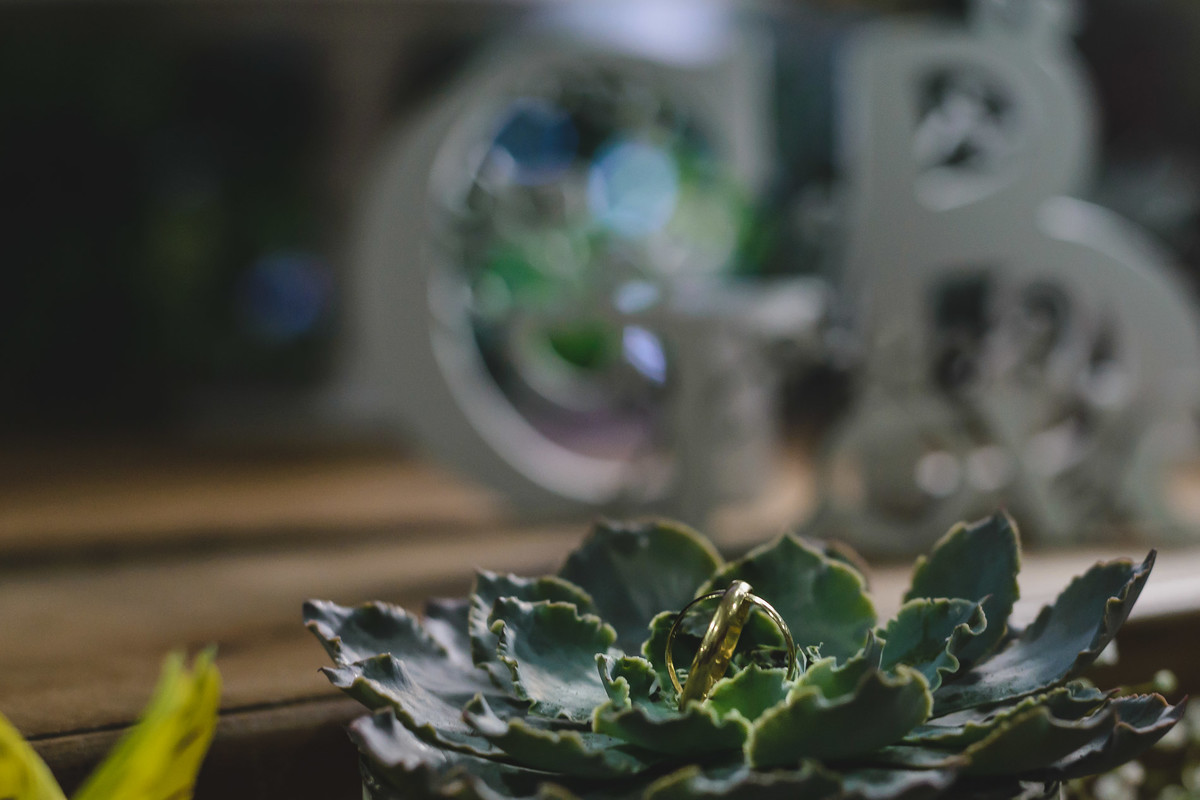foto das alianças na festa - Hípica de Itanhaém - fotografia Cia P&B Produções