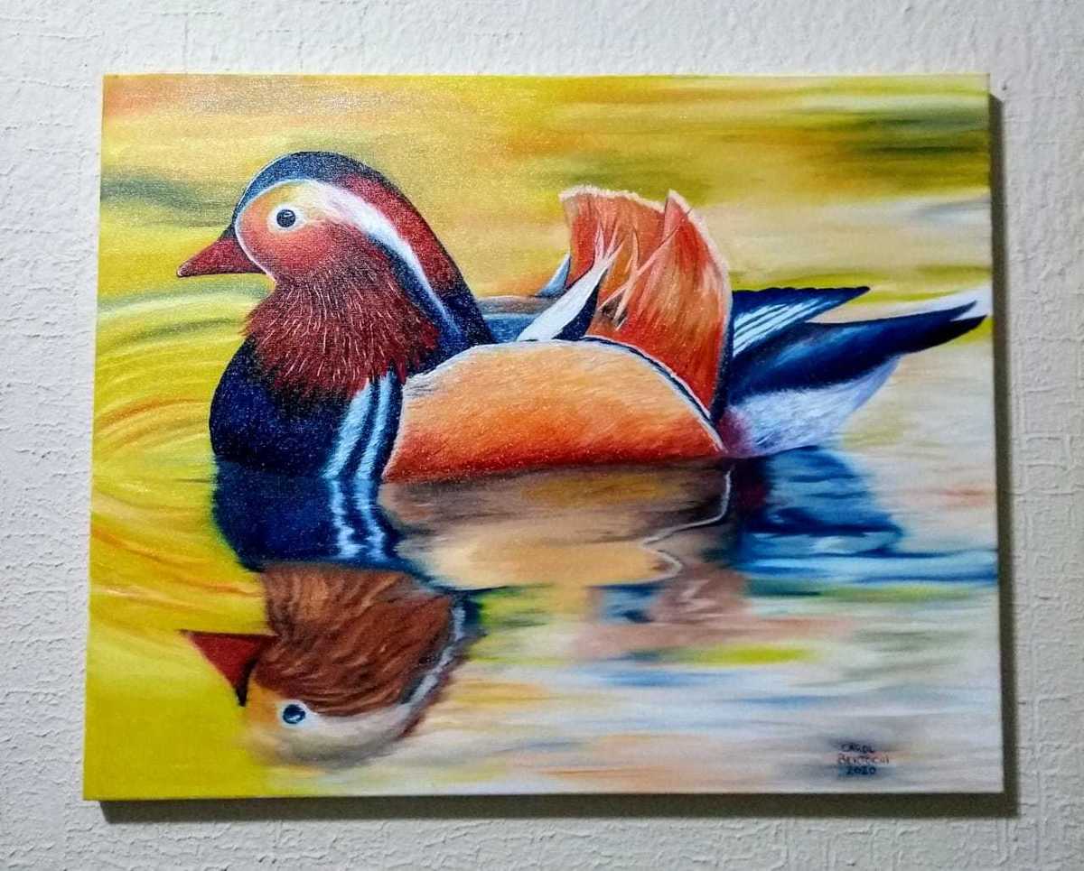 Pato no lado-Duck on the lake (40x50cm-óleo sobre tela - R$ 240,00)