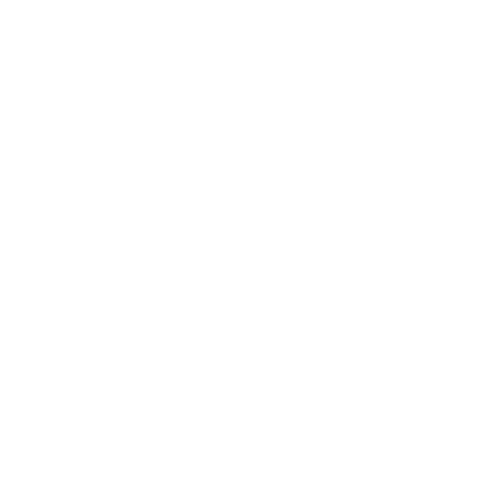 Logotipo de Levi Lyra