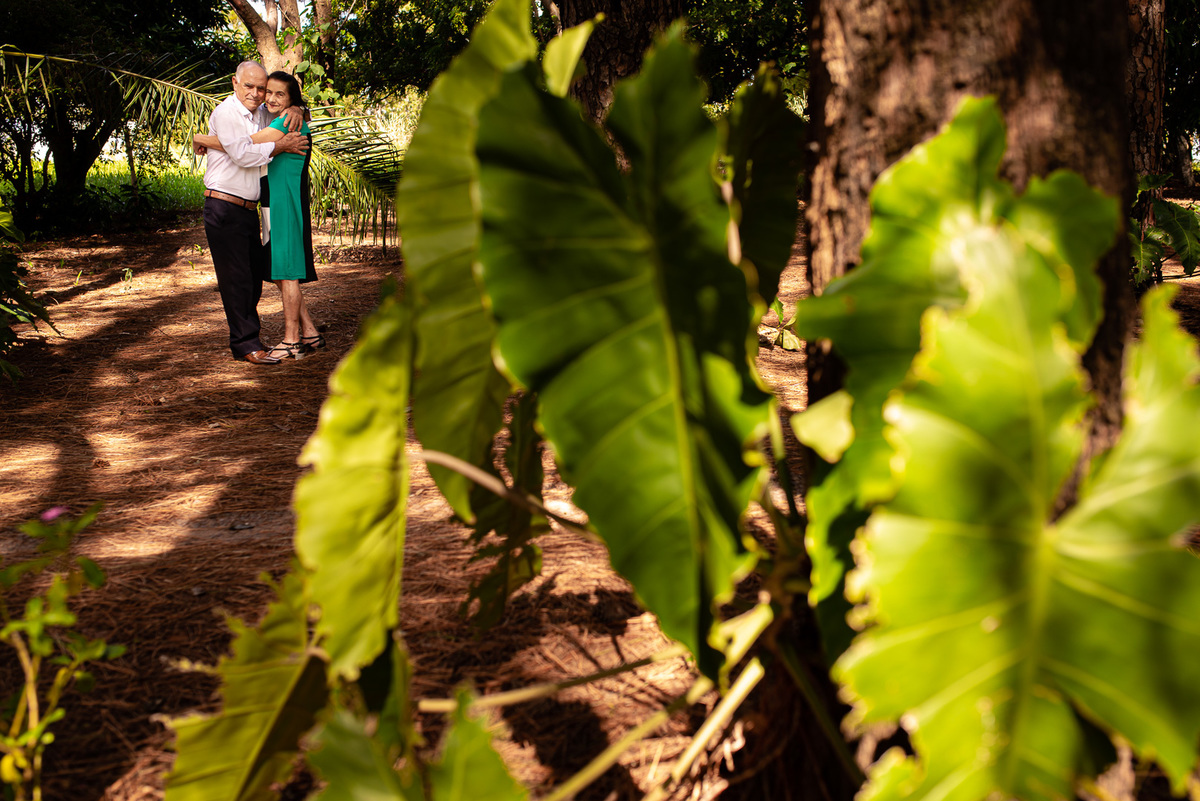 ensaio fotografico casal bodas de ouro fotografia casal pirapozinho presidente prudente bodas de casal 