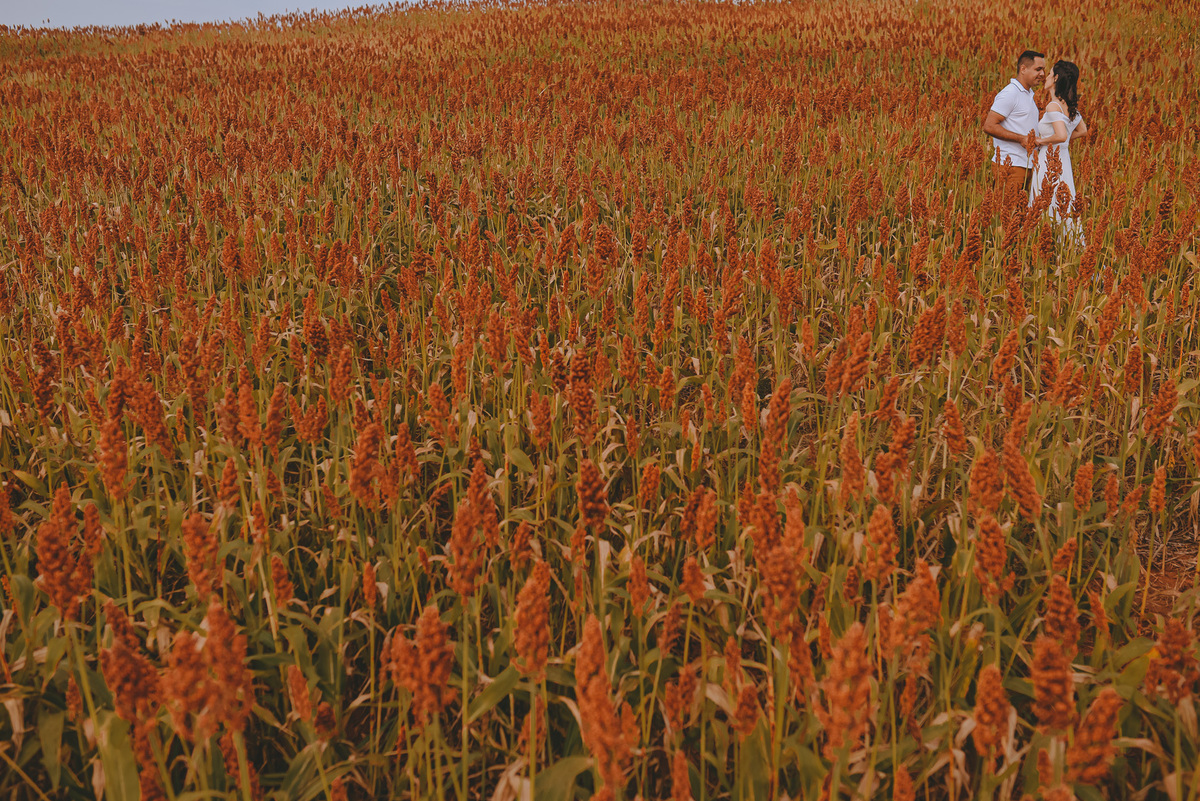 ensaio casal fotografia de casamento ensaio externo precasamento wedding prewedding pirapozinho casamento vestido de noiva ensaio de casal 