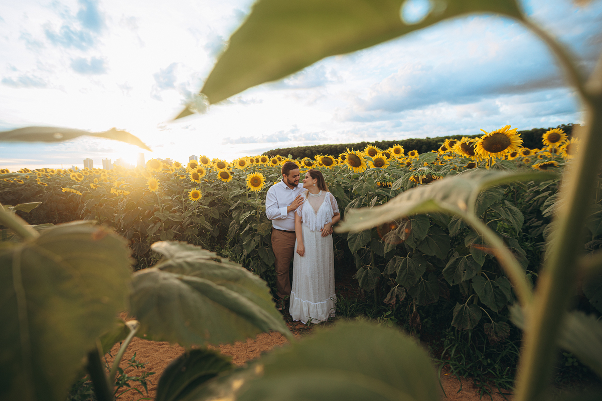 fotografo fotografosp ensaiocasal preweding noiva noivas vestido de noiva campo de giralssol girassois