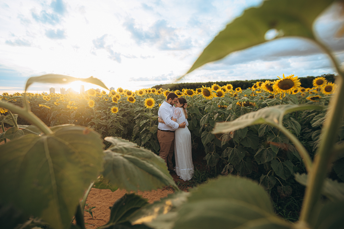 fotografo fotografosp ensaiocasal preweding noiva noivas vestido de noiva campo de giralssol girassois
