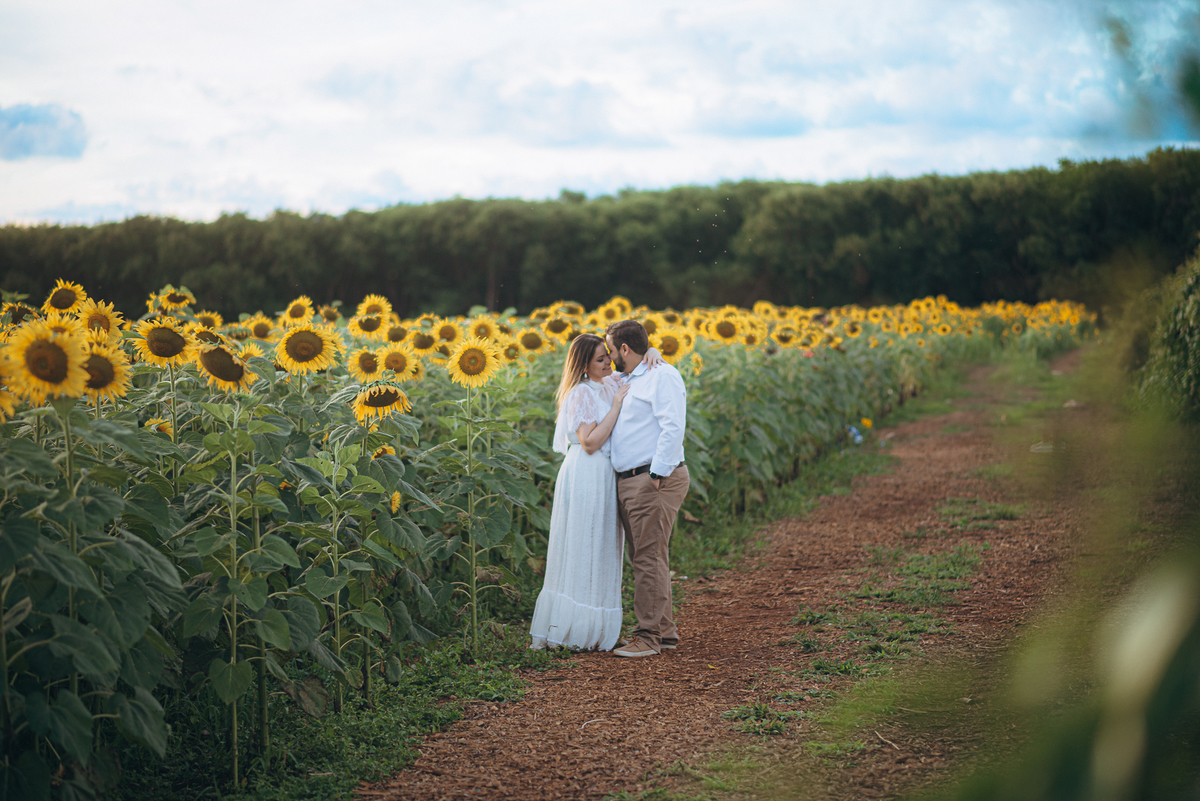 fotografo fotografosp ensaiocasal preweding noiva noivas vestido de noiva campo de giralssol girassois