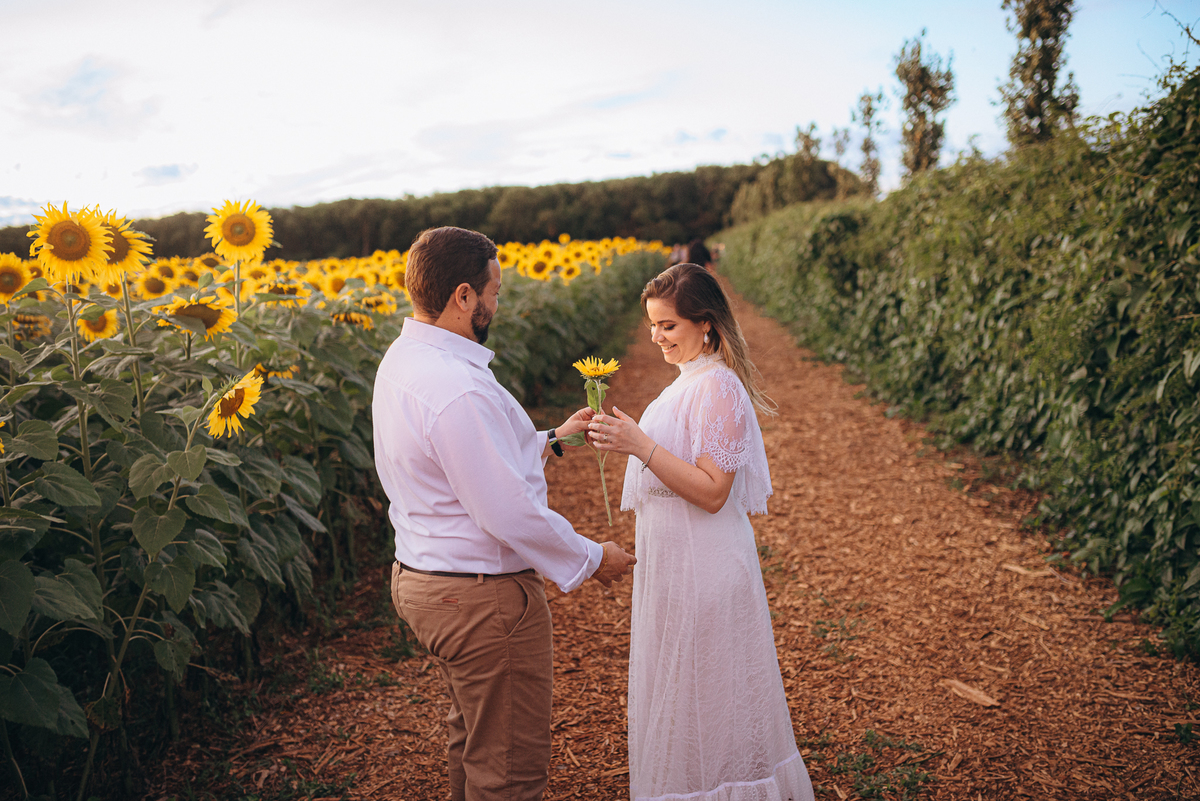 fotografo fotografosp ensaiocasal preweding noiva noivas vestido de noiva campo de giralssol girassois