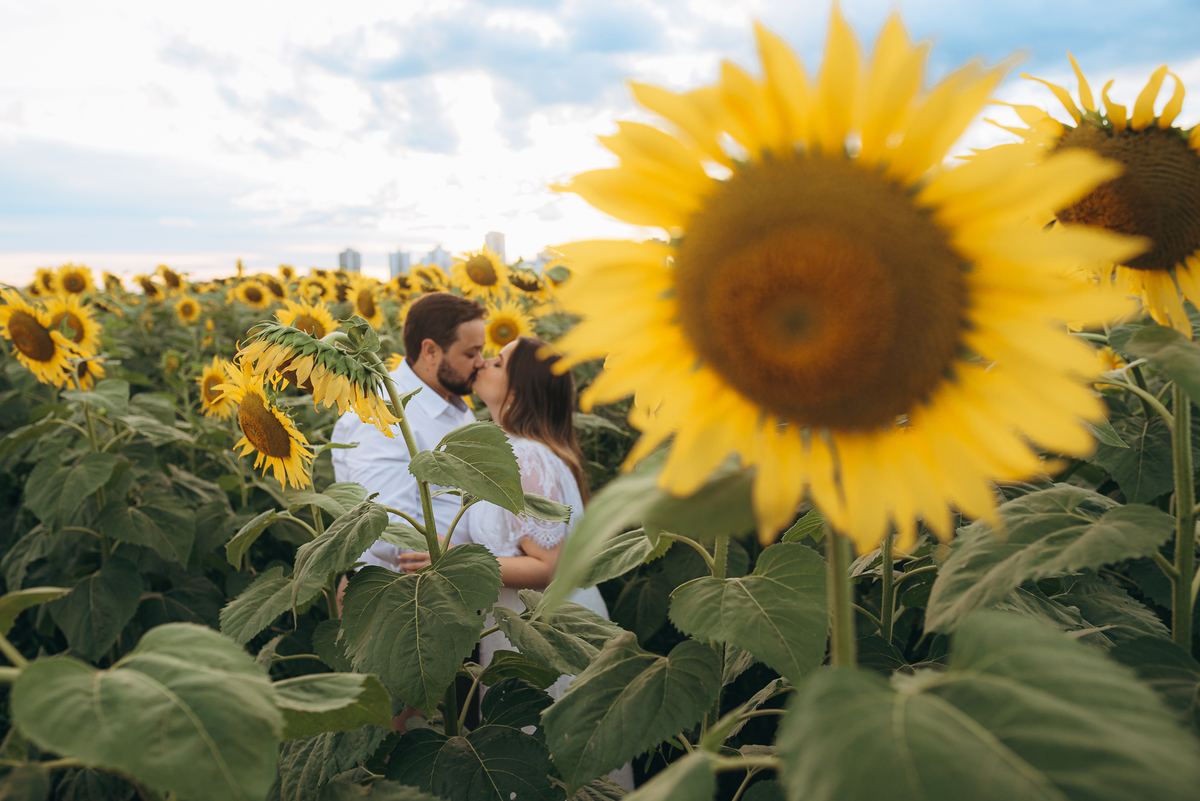 fotografo fotografosp ensaiocasal preweding noiva noivas vestido de noiva campo de giralssol girassois