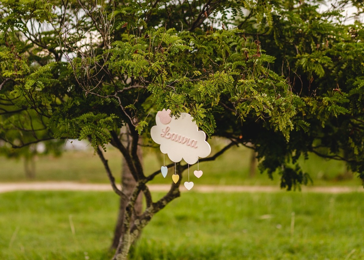 placa de madeira com o nome Laura pendurado em uma árvore
