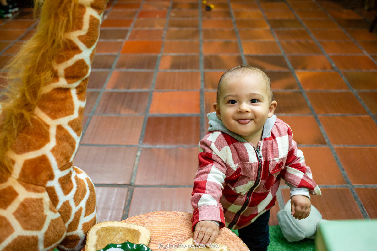 aniversárioinfantil;safari;temasafari;canoas;festainfantil;1aninho;
