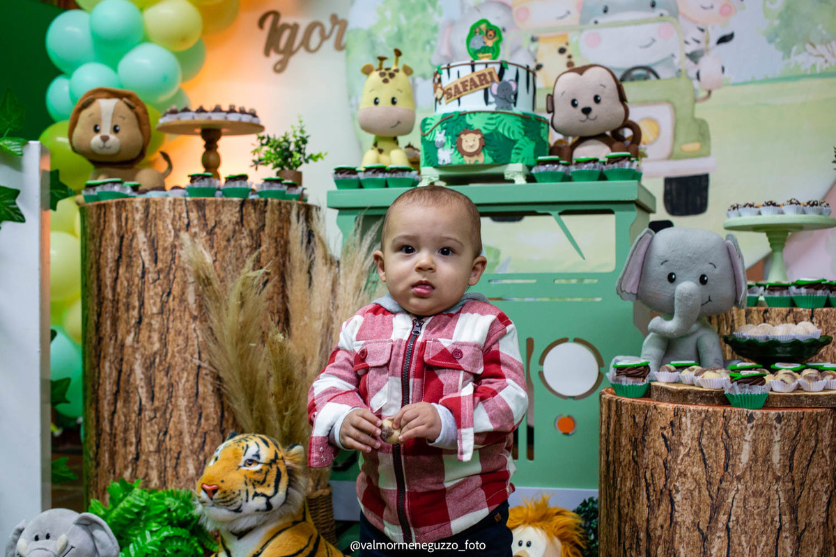 aniversárioinfantil;safari;temasafari;canoas;festainfantil;1aninho;
