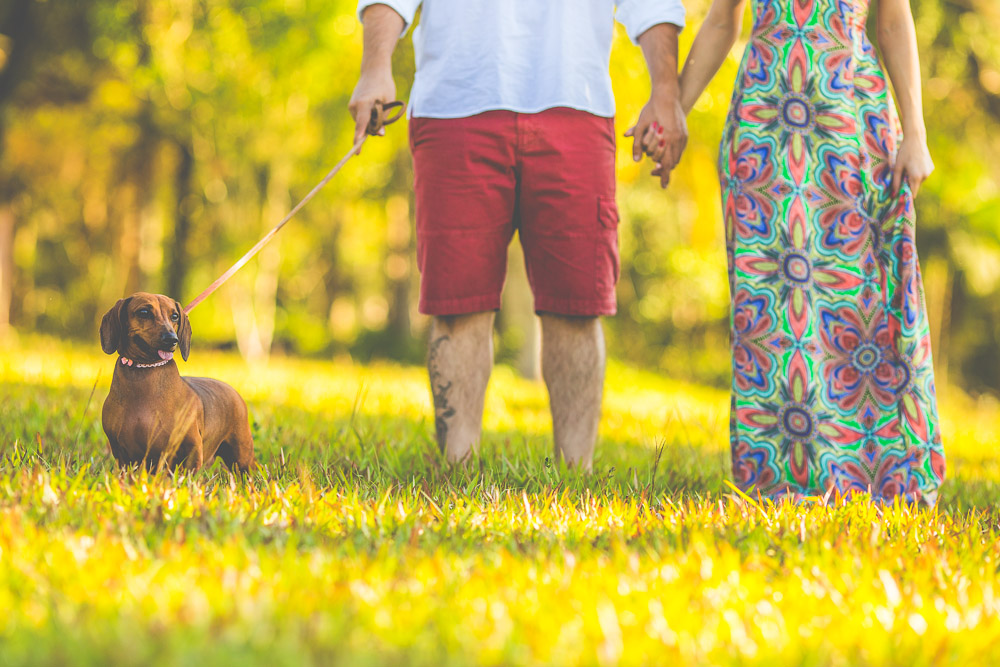 Pré wedding Juliana e Gustavo - Maua da Serra-pr - fotografia Thiago Lima fotografia