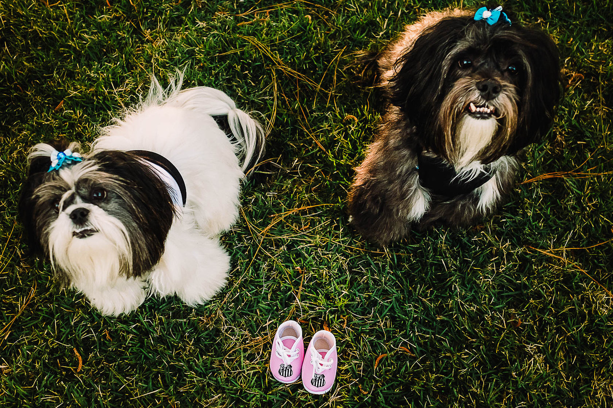 gestante-gestantes Maringá-Eden Garden-fotografia de gestante-ensaio-de-gestante-fotografia-de-gestante-fotos-de-gestante-maringá-fotos de gestante Maringá-fotos de gravidas-roupas de gravidas-look de gravidas-look-de-gravidas-roupas-de-gravidas