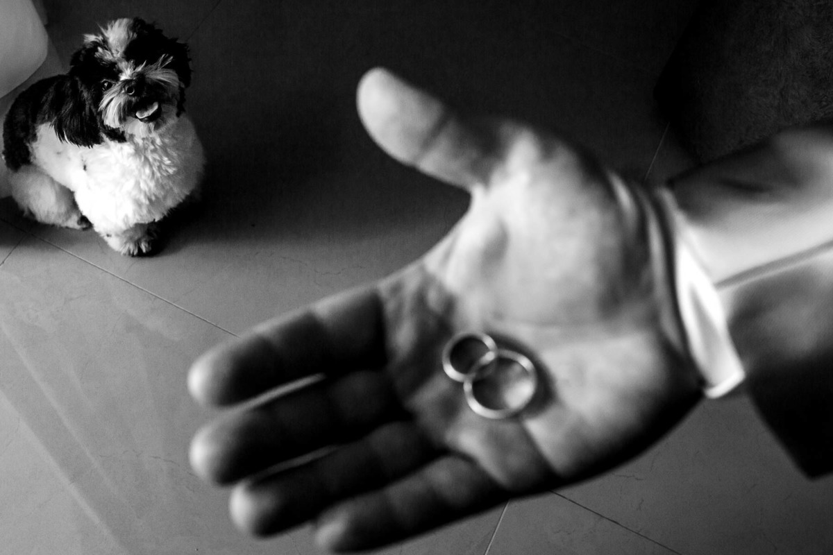 casamento Maringá - Casamento Mayara e Eduardo - Casamento - Making of noivo - Fotografo de Maringá - Thiago Lima fotografia - pai arrumando o noivo - pai e noivo - Cachorro no casamento 