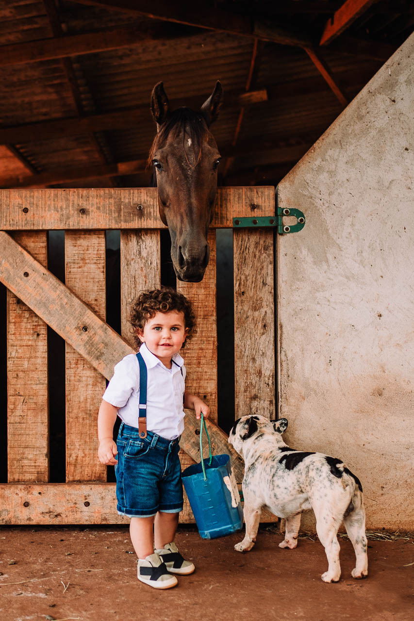 Ensaio Infantil - Ensaio Vicente - Ensaio de criança - Sessão infantil - Ensaio de Família - Thiago Lima fotografia - Fotografo de família - Fotografo de Criança - Fotos de Criança - Sessão Infantil - tema fazendeiro - sitio 