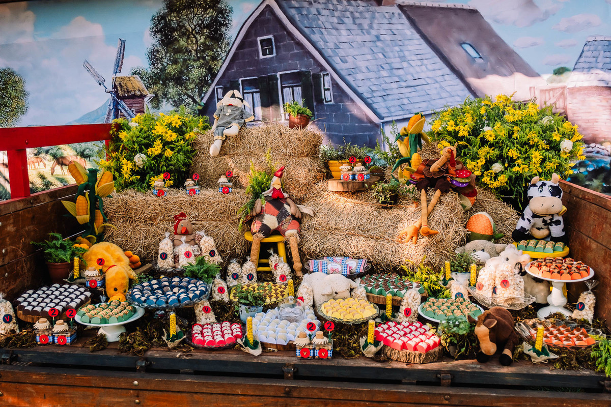 Aniversário Vicente - Aniversário Infantil - Festa Infantil - Festa de Sitio - Festa tema Sitio - Thiago Lima fotografia - Aniversário Tema Sitio - Festa infantil - Decoração de festa infantil - Fotografo de familia - Fotografo de Maringá 