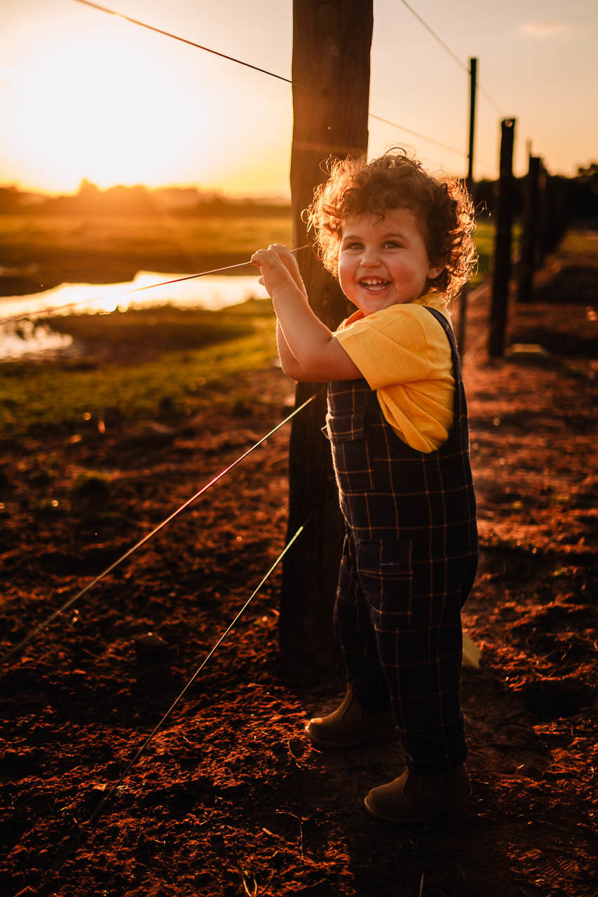 Aniversário Vicente - Aniversário Infantil - Festa Infantil - Festa de Sitio - Festa tema Sitio - Thiago Lima fotografia - Aniversário Tema Sitio - Festa infantil - Decoração de festa infantil - Fotografo de familia - Fotografo de Maringá 