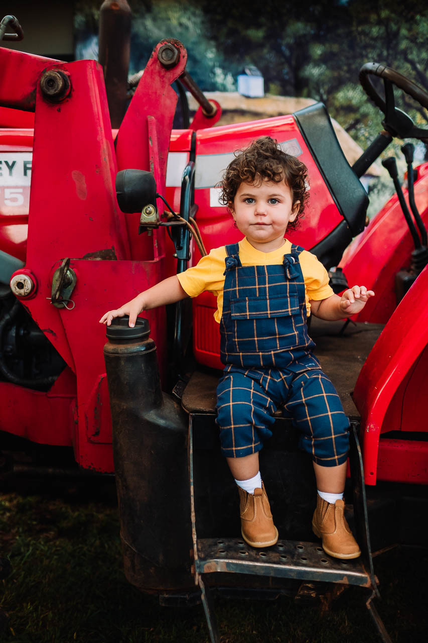 Aniversário Vicente - Aniversário Infantil - Festa Infantil - Festa de Sitio - Festa tema Sitio - Thiago Lima fotografia - Aniversário Tema Sitio - Festa infantil - Decoração de festa infantil - Fotografo de familia - Fotografo de Maringá 