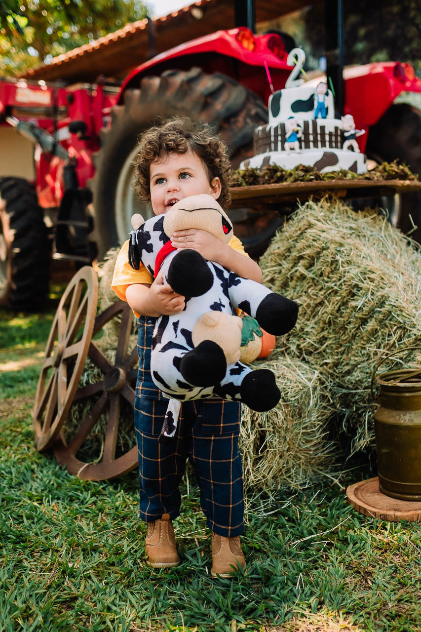 Aniversário Vicente - Aniversário Infantil - Festa Infantil - Festa de Sitio - Festa tema Sitio - Thiago Lima fotografia - Aniversário Tema Sitio - Festa infantil - Decoração de festa infantil - Fotografo de familia - Fotografo de Maringá 