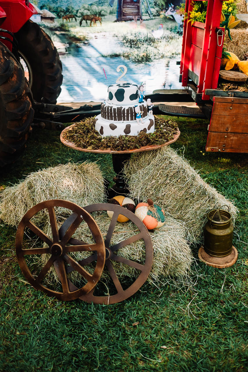 Aniversário Vicente - Aniversário Infantil - Festa Infantil - Festa de Sitio - Festa tema Sitio - Thiago Lima fotografia - Aniversário Tema Sitio - Festa infantil - Decoração de festa infantil - Fotografo de familia - Fotografo de Maringá 