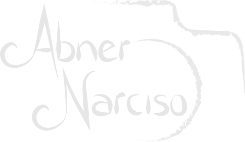 Logotipo de abner carlos narciso ferreira