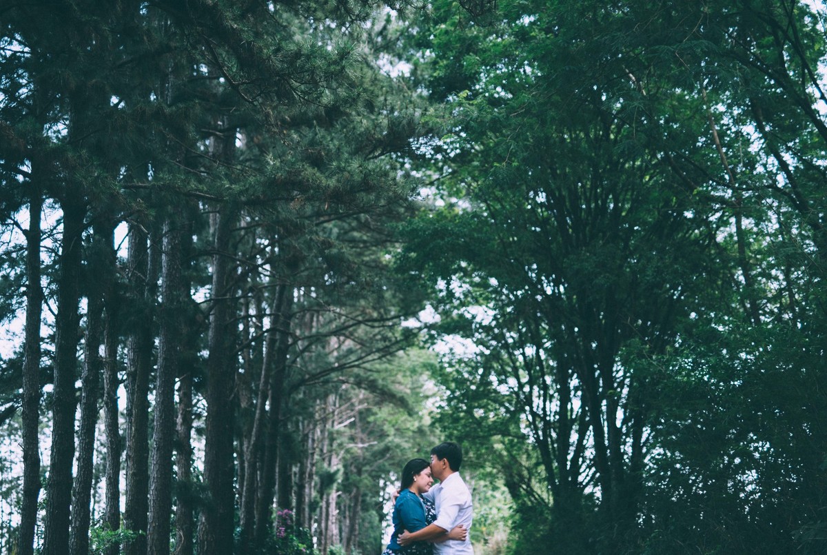 ensaio casal - pre casamento - fotografos de londrina - rodrigo martins fotografia - rodrigo martins fotografo - fotografia londrina
