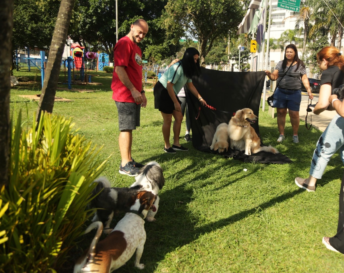 Curso de Fotografia família e pet no abc -Aula de fotografia em São Paulo - Aula de fotografia abc - São Caetano