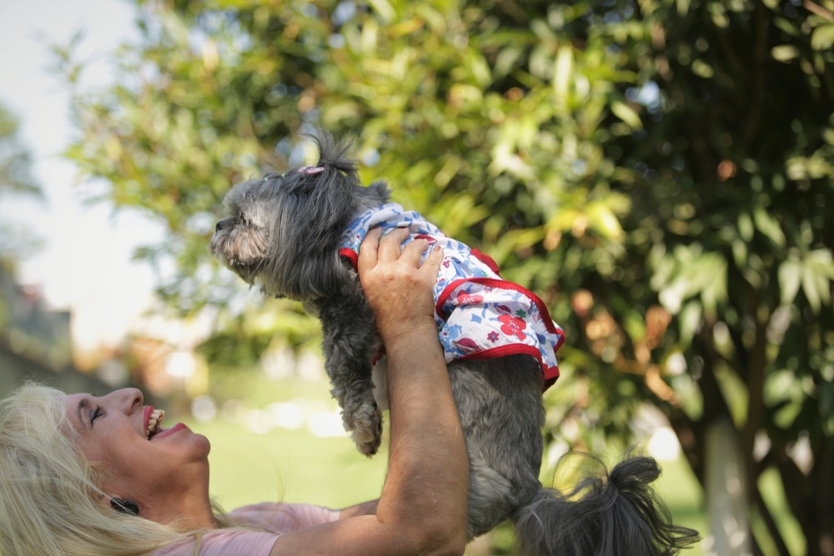 Aprenda a fotografar ensaio de família e pet - fotos ao ar livre ´Aula São Caetano do Sul