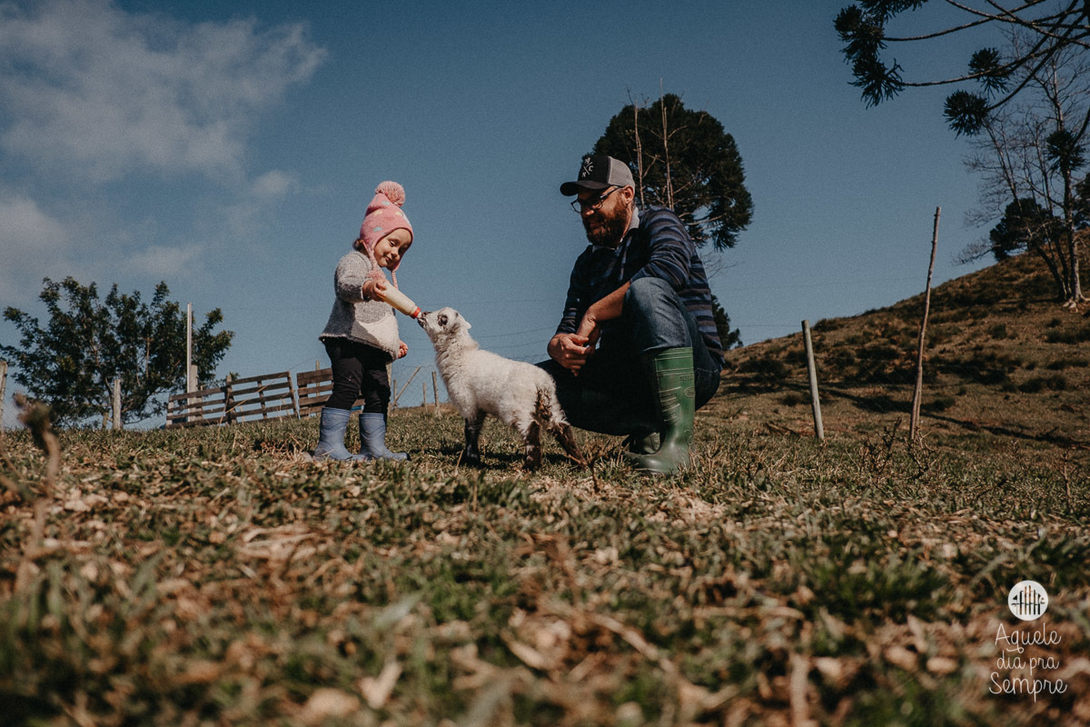 Amamentando o cordeirinho