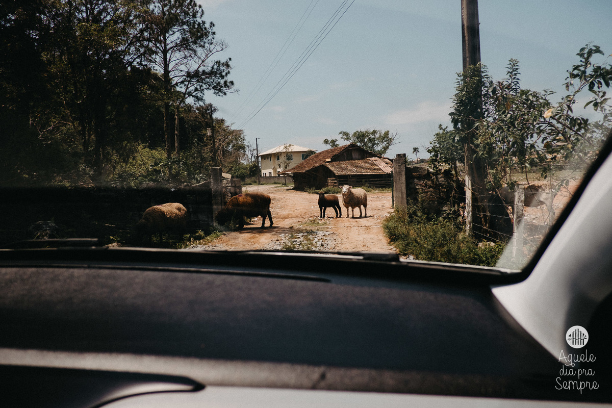 Aquele dia Pra Sempre - Fotografia Documental de Família