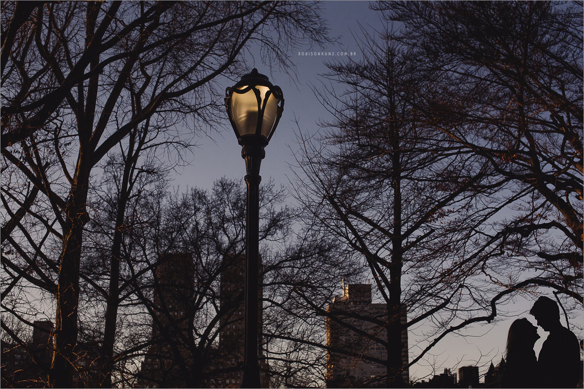 fotos de noivos em ny