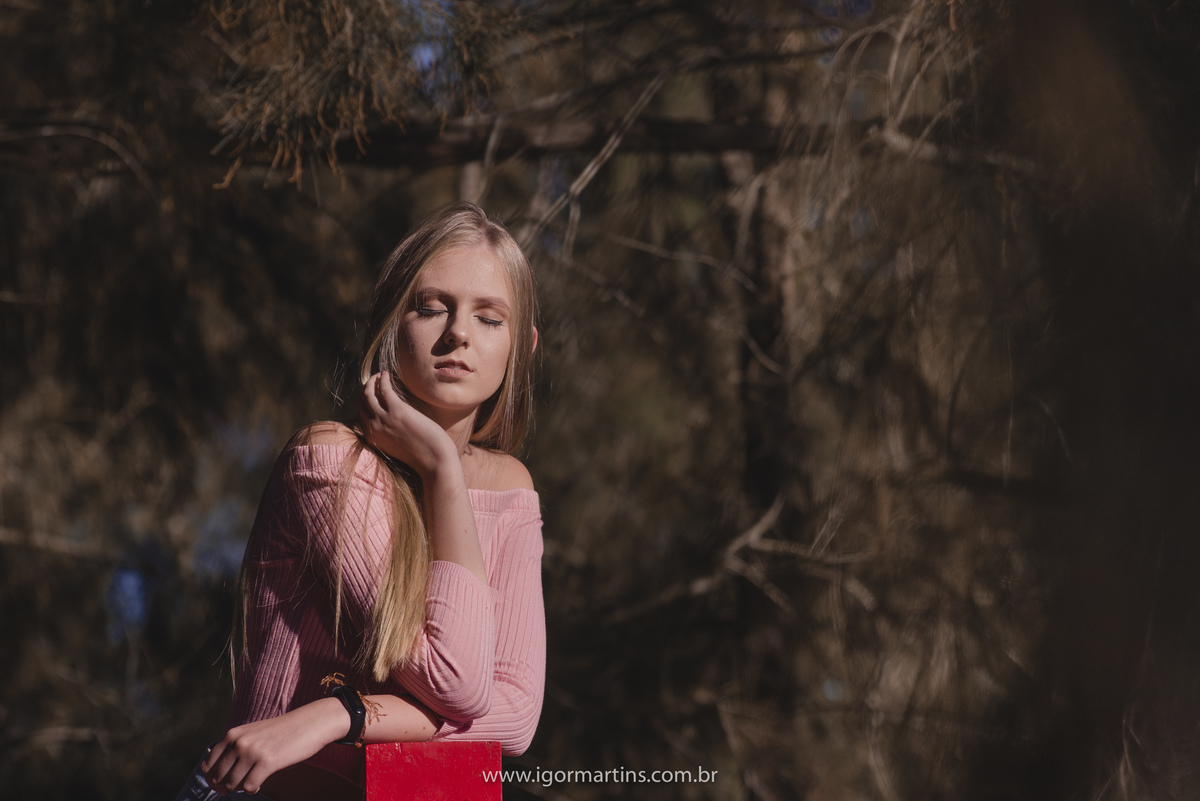 15 anos, ensaio, sessão de fotos, debutante, caxias do sul, serra gaucha, RS, Rio grande do sul, ensaio feminino