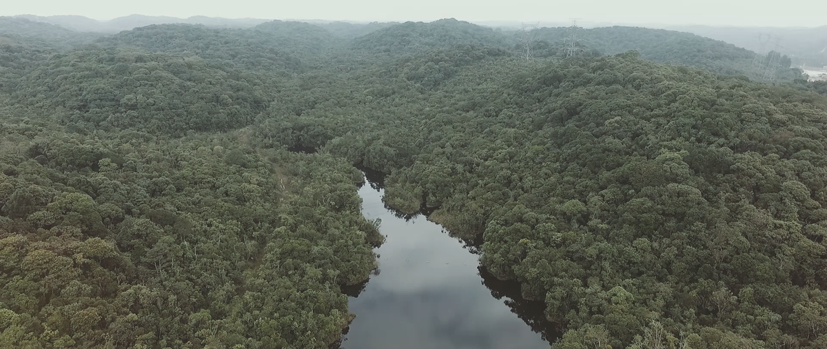 O Espaço Serra do Mar é um paraíso escondido na Serra do Mar, São Paulo. Um lindo lugar com natureza por todos os lados.