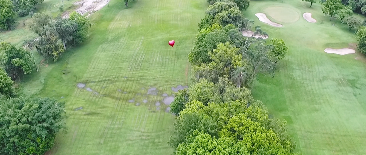 Casamento no campo em pleno litoral de São Paulo. O Golf Club Santos São Vicente é uma opção de casamento na natureza.