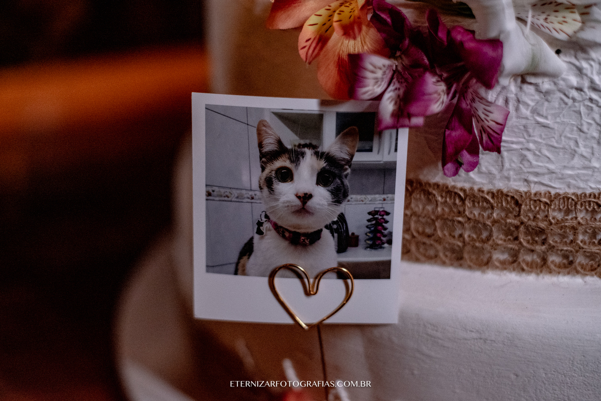 CASAMENTO NO CAMPO
FOTOGRAFIA DE CASAMENTO BAURU-SP
FOTOGRAFO DE CASAMENTO EM BAURU-SP
NOIVA 
CERIMONIA DE CASAMENTO 
CASAMENTO NO VILA DE SÃO FRANCISCO 