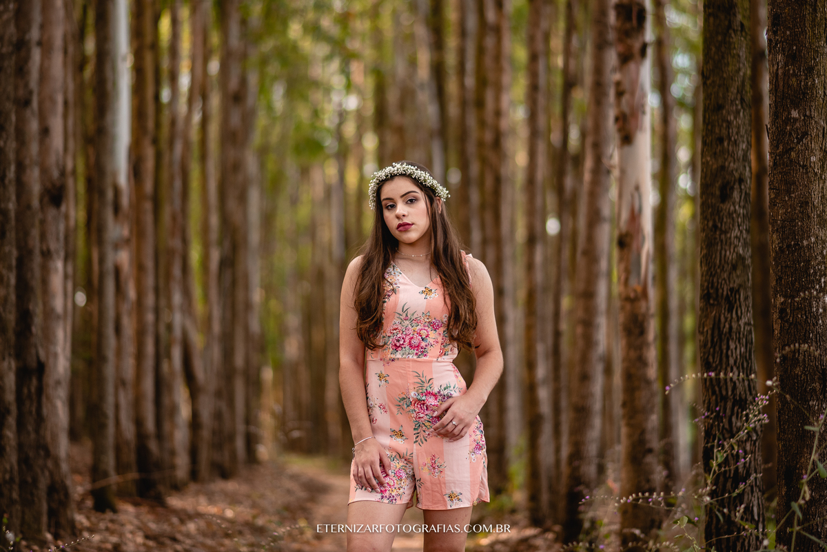 ENSAIO PRÉ 15 ANOS,FESTA 15 ANOS, SESSÃO 15 ANOS,
FOTOS 15 ANOS 