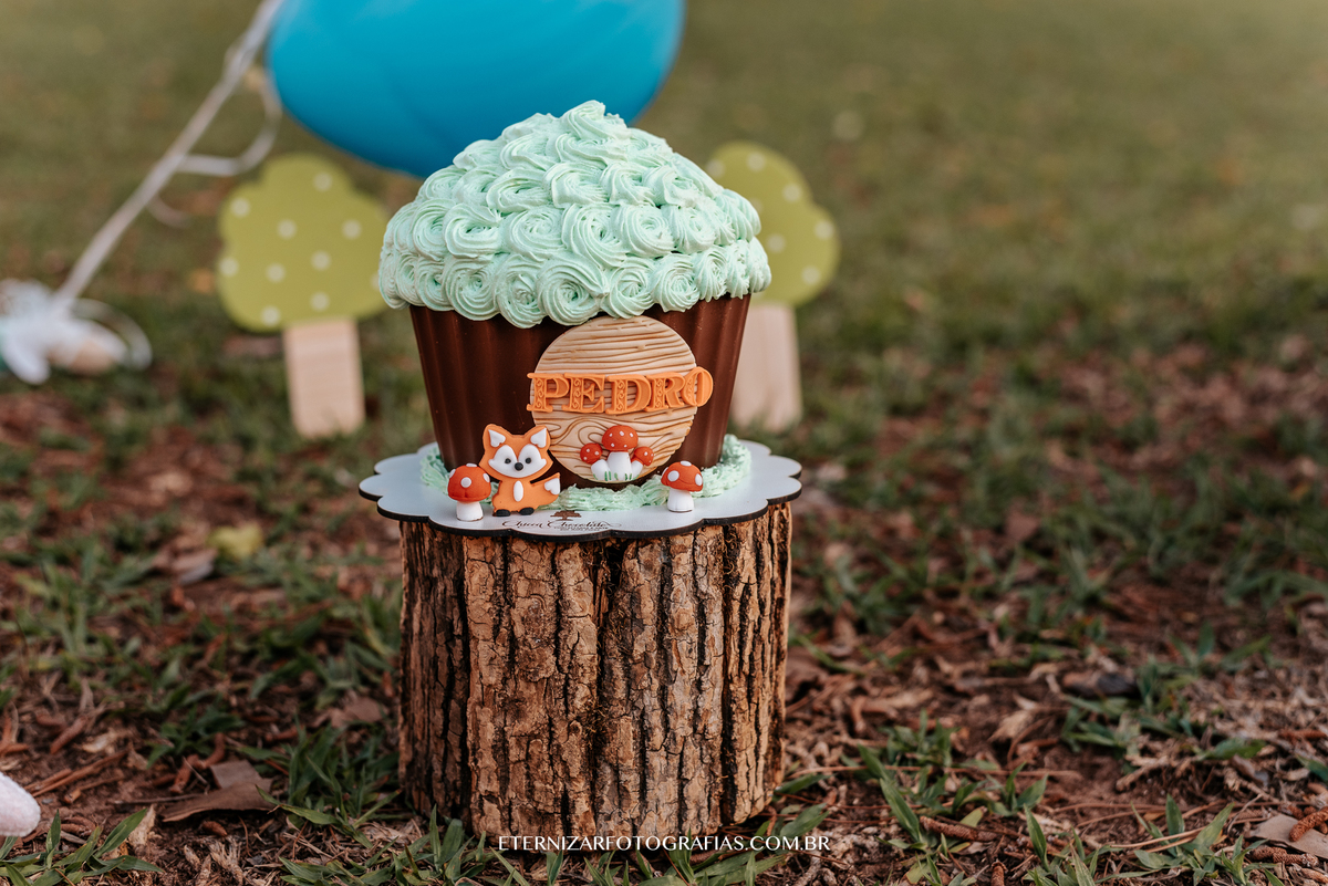 ensaio familia, smash the cake, fotos de 1 aninho, smash the cake menino, sessão familia