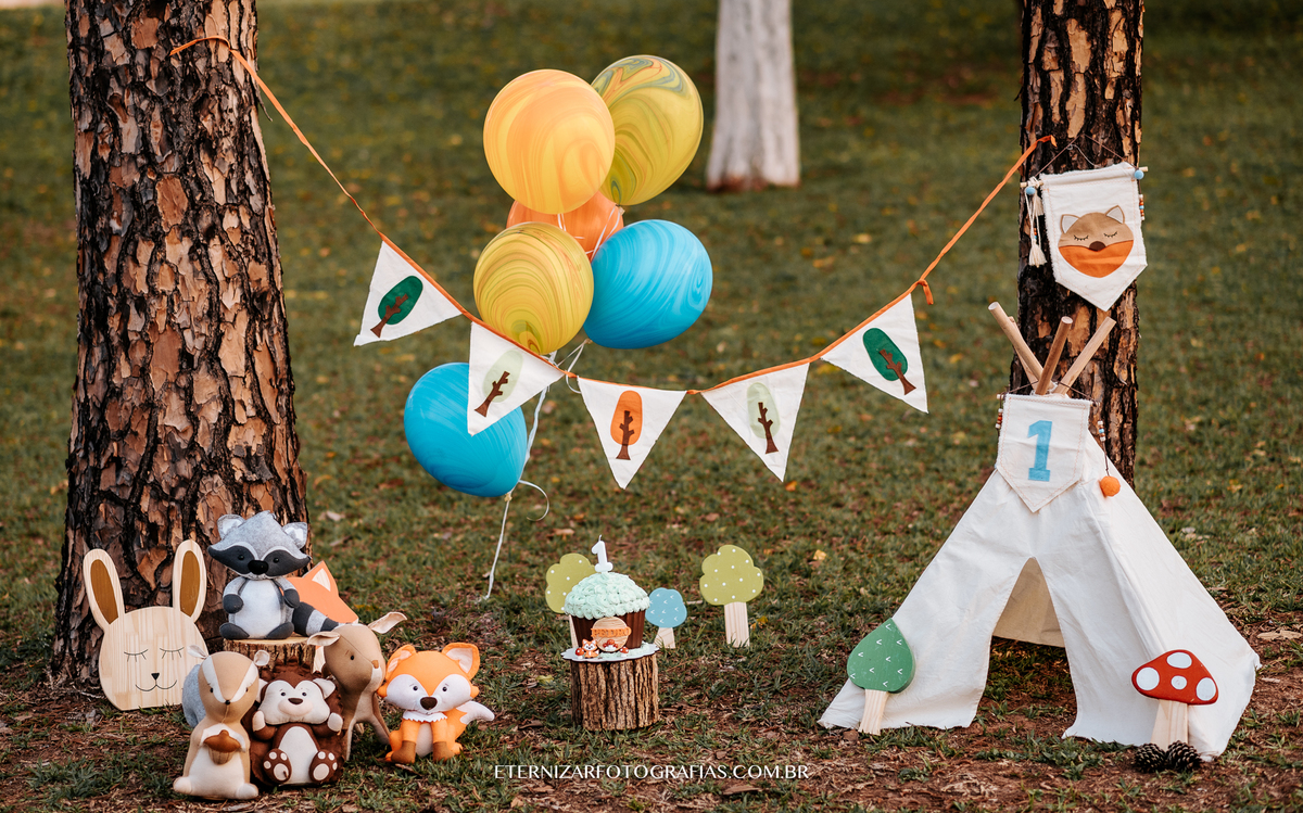 ensaio familia, smash the cake, fotos de 1 aninho, smash the cake menino, sessão familia