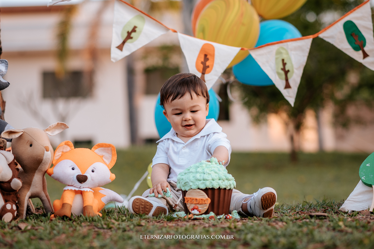 ensaio familia, smash the cake, fotos de 1 aninho, smash the cake menino, sessão familia
