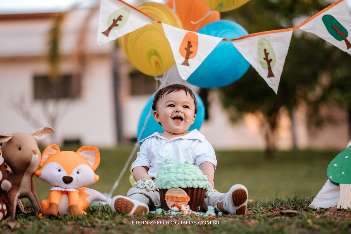 ensaio familia, smash the cake, fotos de 1 aninho, smash the cake menino, sessão familia