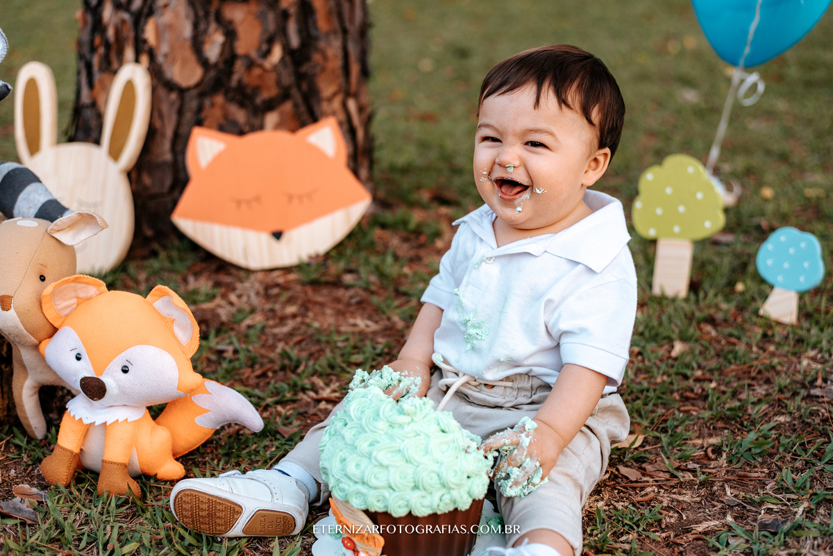 ensaio familia, smash the cake, fotos de 1 aninho, smash the cake menino, sessão familia