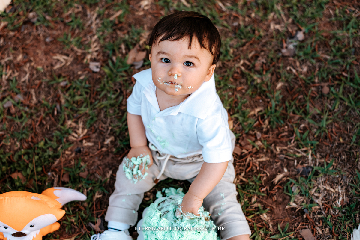 ensaio familia, smash the cake, fotos de 1 aninho, smash the cake menino, sessão familia