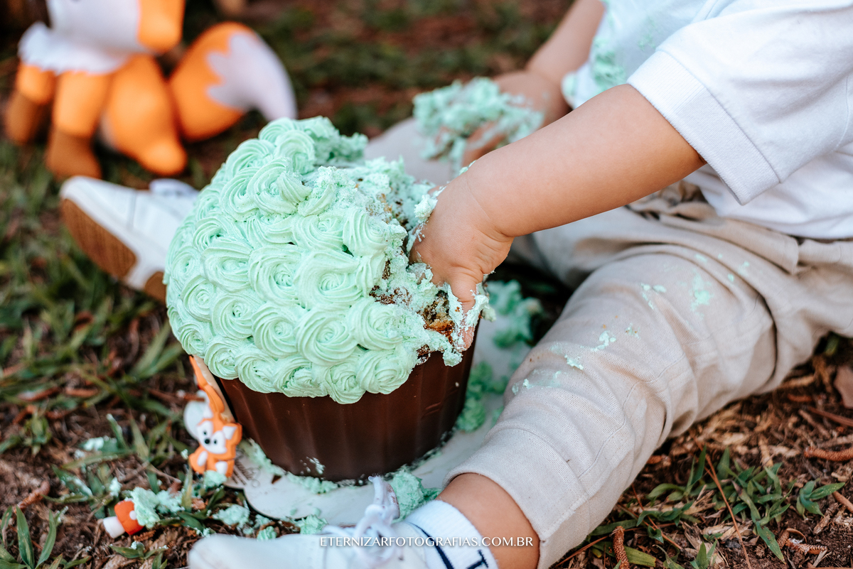ensaio familia, smash the cake, fotos de 1 aninho, smash the cake menino, sessão familia
