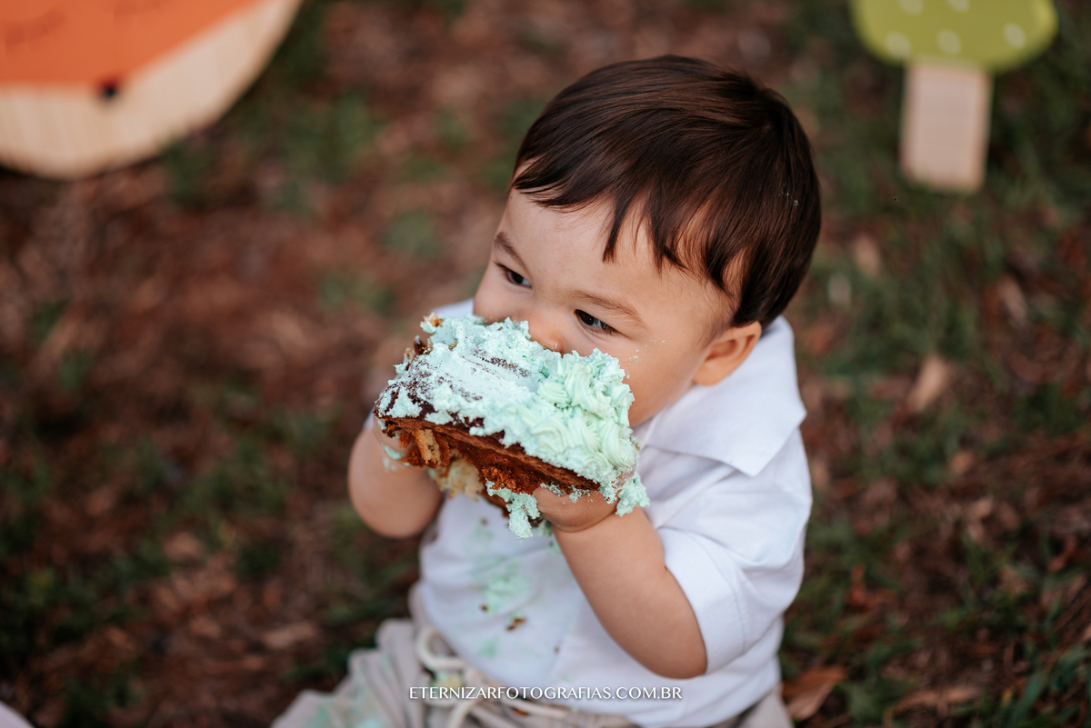 ensaio familia, smash the cake, fotos de 1 aninho, smash the cake menino, sessão familia