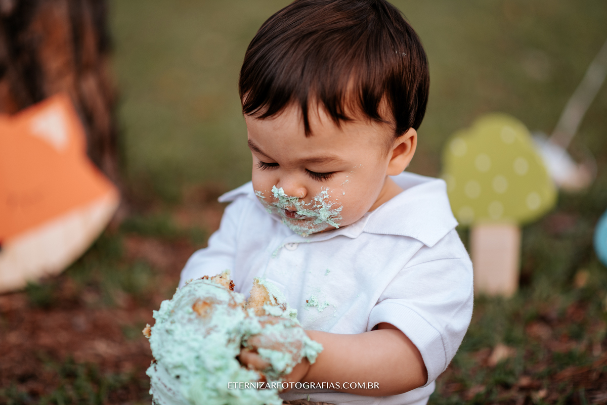 ensaio familia, smash the cake, fotos de 1 aninho, smash the cake menino, sessão familia