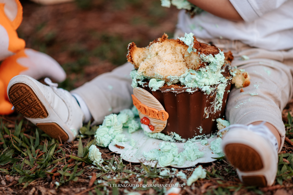 ensaio familia, smash the cake, fotos de 1 aninho, smash the cake menino, sessão familia