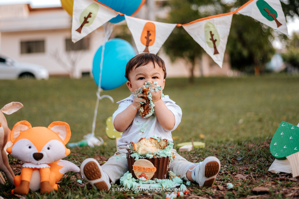 ensaio familia, smash the cake, fotos de 1 aninho, smash the cake menino, sessão familia