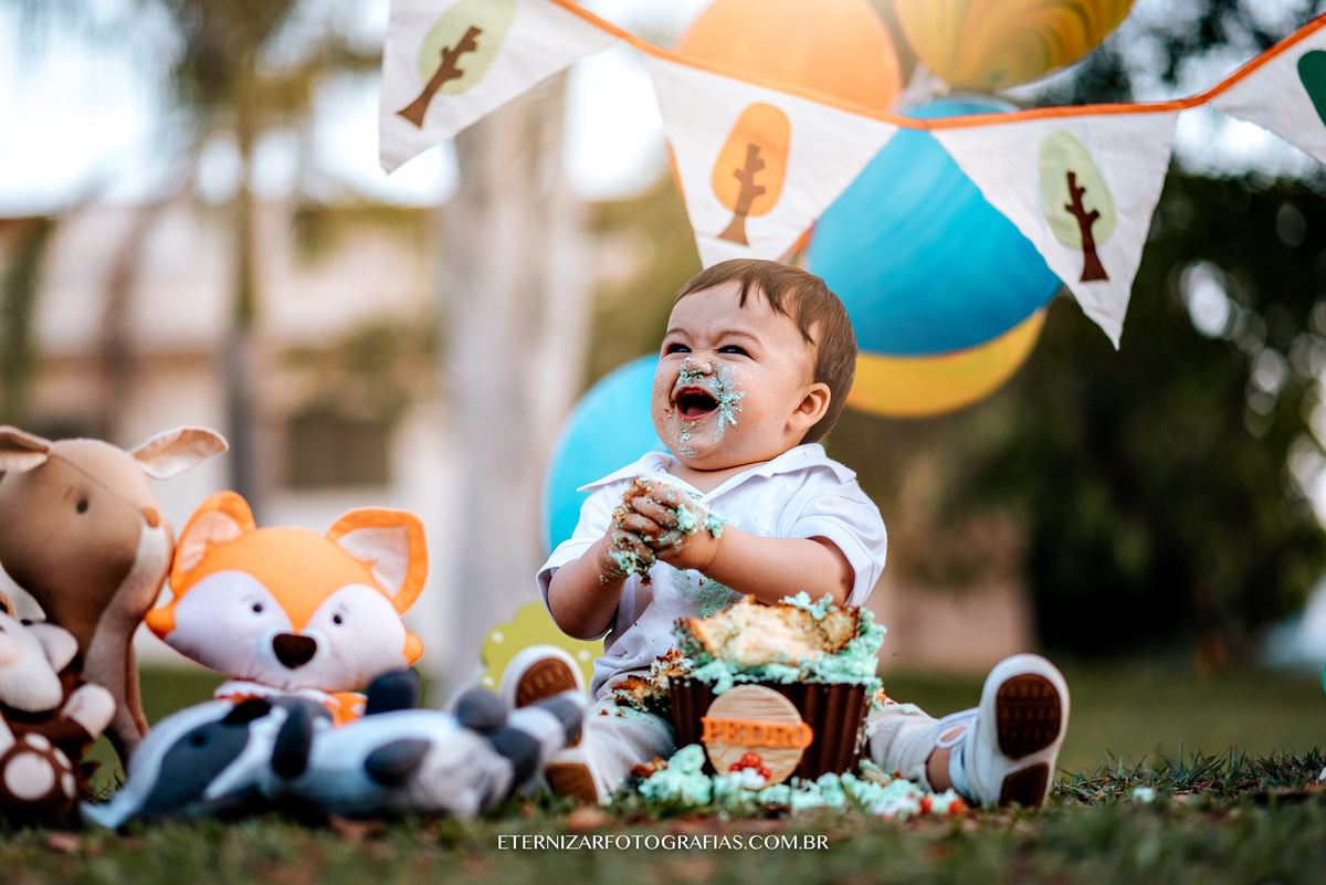 ensaio familia, smash the cake, fotos de 1 aninho, smash the cake menino, sessão familia