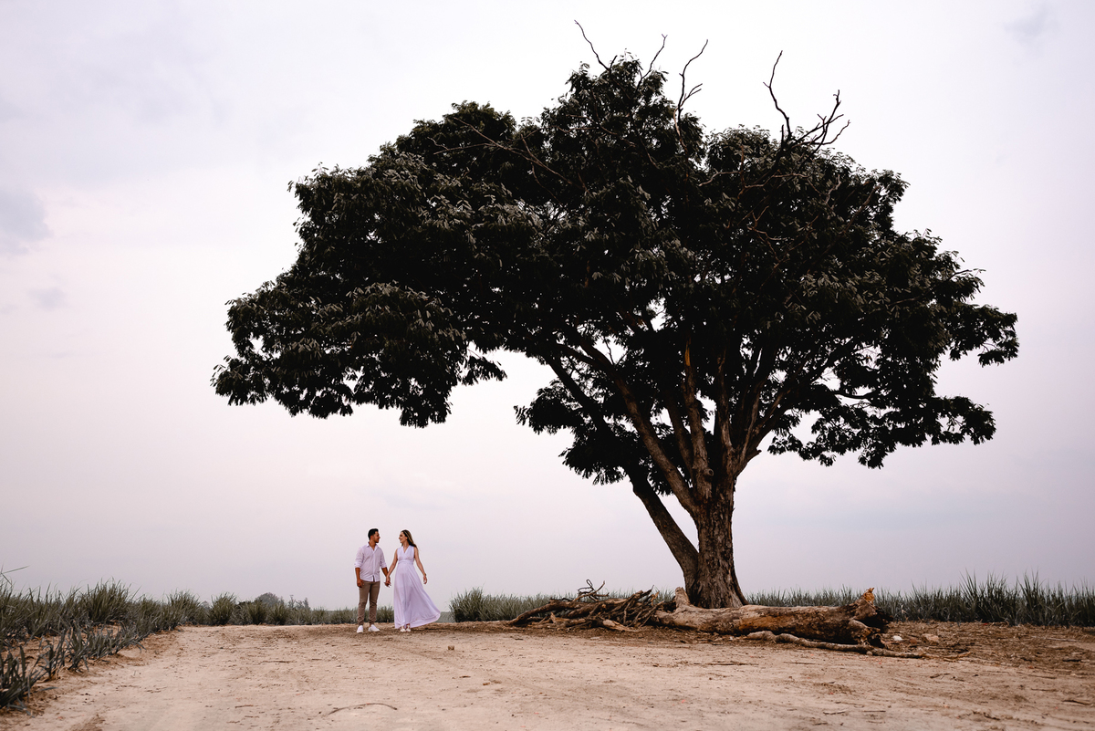 ENSAIO PRÉ-WEDDING EM HOLAMBRA-SP | PRÉ CASAMENTO HOLAMBRA-SP |  ENSAIO DE CASAL HOLAMBRA-SP | ENSAIO DE CASAL | 

FOTOS CASAL NO POR DO SOL | FOTOGRAFO DE CASAMENTO BAURU-SP | FOTOGRAFO EM BAURU-SP | HOLAMBRA CIDADE DAS FLORES

ENSAIO NO CAMPO DE FLORES 