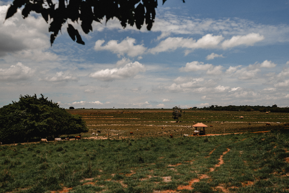 DECORAÇÃO PARA CASAMENTO AO AR LIVRE
CASAMENTO NO CAMPO
MINI WEDDING
casamento civil, mini wedding, casamento intimista, casamento civil com recepção, fotografo de casamento em bauru-SP, fotografia de casamento ao ar livre