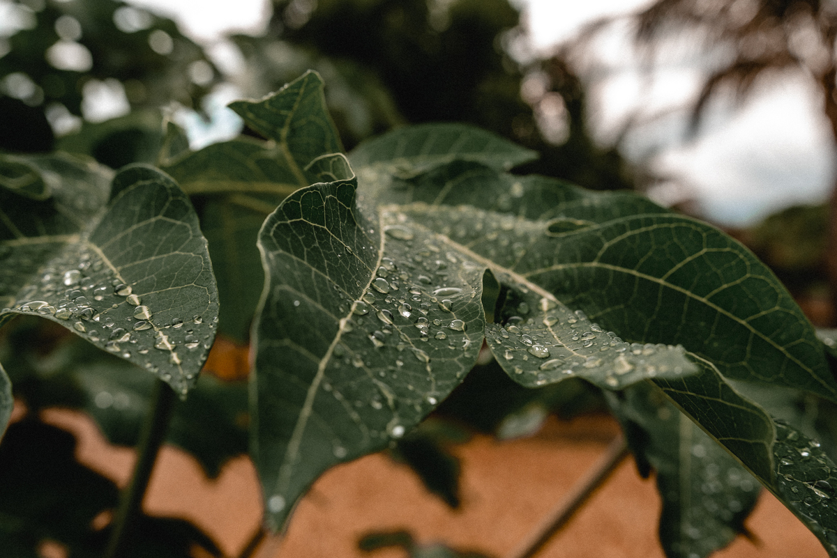 DECORAÇÃO PARA CASAMENTO AO AR LIVRE
CASAMENTO NO CAMPO
MINI WEDDING
casamento civil, mini wedding, casamento intimista, casamento civil com recepção, fotografo de casamento em bauru-SP, fotografia de casamento ao ar livre